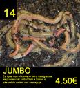 14-jumbo.jpg