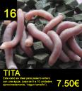 16-tita.jpg