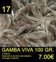 17-gamba-viva.jpg