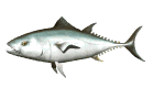 atun