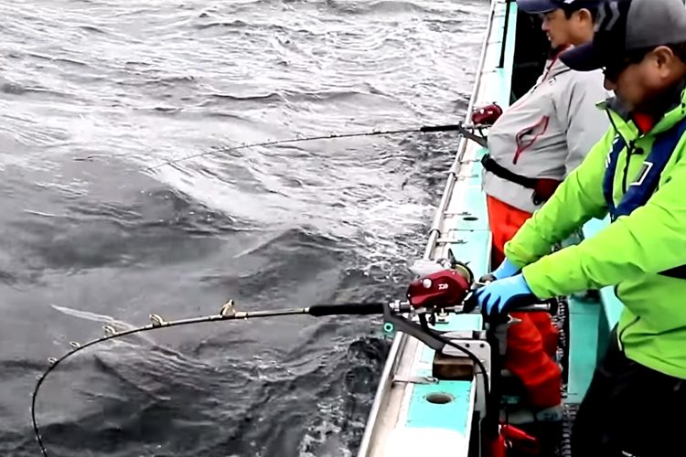 nuevo carrete electrico daiwa seaborg 1200 megatwin pesca deportiva noticias nuevo carrete electrico daiwa seaborg 1200 megatwin