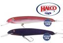 halcos-nuevos-2008-copia.jpg