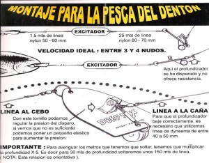 montaje para la pesca del denton