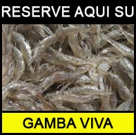 reserve-aqui-su-gamba-viva