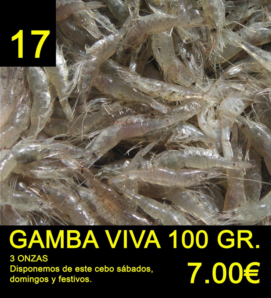 cansionpesca.com