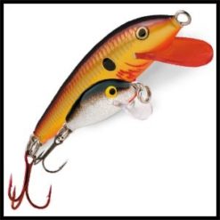 Rigidos
