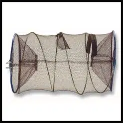 Nasas
