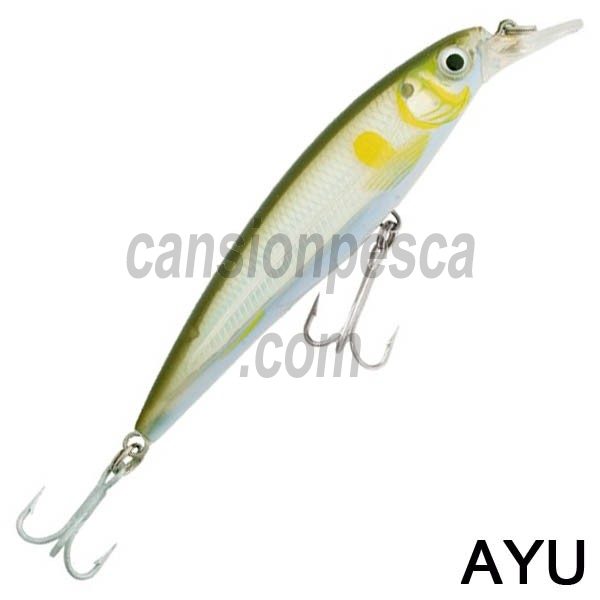 pez rigido rapala x-rap saltwater 10