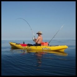 kayaks