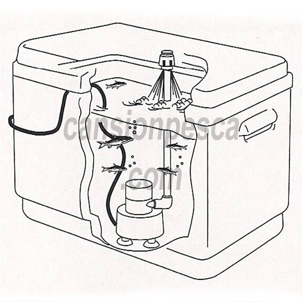 oxigenador rule portable aerator kit