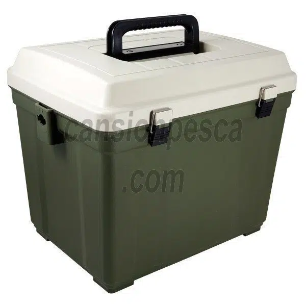 dolphin with fish hook in fin Watch This Patient Dolphin Ask a Diver For Help Removing a Fishing Hook
