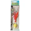pez pulpo olympus octopus con elichetta 52 - pez pulpo olympus octopus pez-pulpo-olympus-octopus
