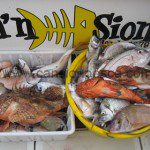 Si quieres disfrutar de un dia de pesca llamanos, te organizamos una salida - Si quieres disfrutar de un dia de pesca llamanos te organizamos una salida 06 Si quieres disfrutar de un dia de pesca llamanos, te organizamos una salida - Si quieres disfrutar de un dia de pesca llamanos te organizamos una salida 06