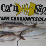 Si quieres disfrutar de un dia de pesca llamanos, te organizamos una salida - Si quieres disfrutar de un dia de pesca llamanos te organizamos una salida 09 Si quieres disfrutar de un dia de pesca llamanos, te organizamos una salida - Si quieres disfrutar de un dia de pesca llamanos te organizamos una salida 09