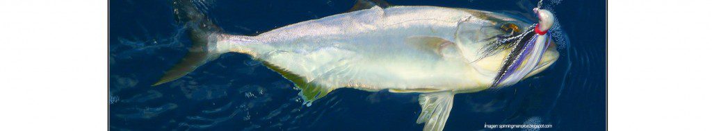 cansionpesca.com