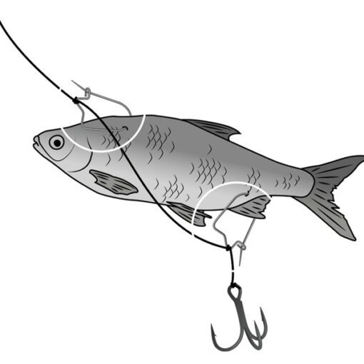 bait clip black cat - Imagen 3