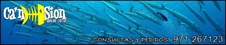 cansionpesca.com