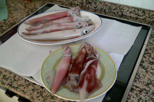 CALAMARES EN LA BAHIA DE PALMA!!! - calamares en la bahia de palma