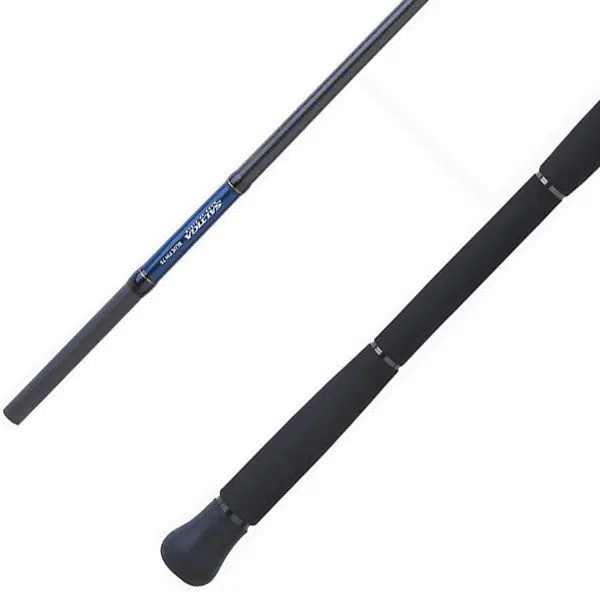 Alternative view of caña daiwa saltiga spinning 2,59m