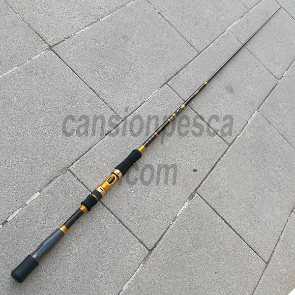 cansionpesca.com