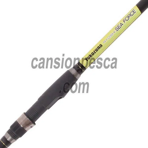 Alternative view of caña yokozuna ryoshi sea force 3.30m