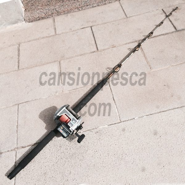 cansionpesca.com
