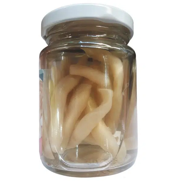 cebo illuminor baits tita bibi - cebo illuminor baits tita bibi 01 cebo-illuminor-baits-tita-bibi-01
