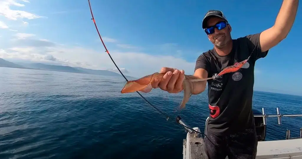 Como pescar calamares a eging TIP RUN - como pescar calamares a eging tip run Como pescar calamares a eging TIP RUN - como pescar calamares a eging tip run