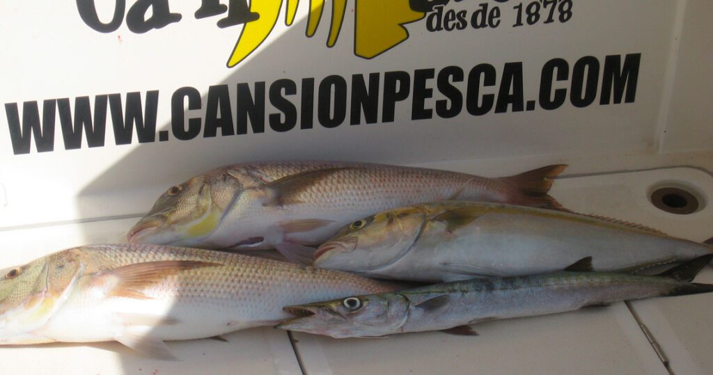 cansionpesca.com