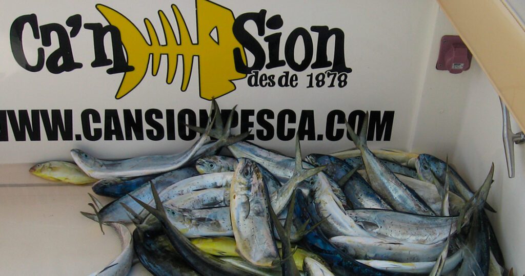 cansionpesca.com