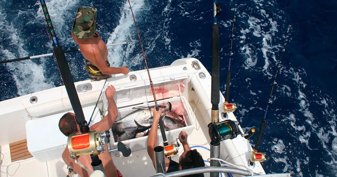 CHARTER DE PESCA - currican de altura 1