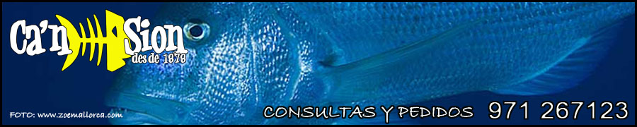 cansionpesca.com