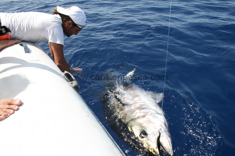 El gobierno balear apoya a la pesca recreativa responsable - el gobierno balear apoya a la pesca recreativa responsable