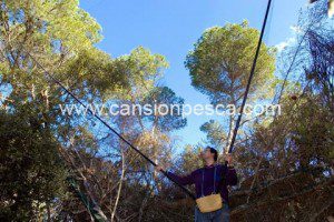 Empieza la temporada de la caza con filats y os hemos preparado un surtido de cañas y filats montados en nuestra tienda del banc de s'oli - empieza la temporada de la caza con filats y os hemos preparado un surtido de canas en nuestra tienda online