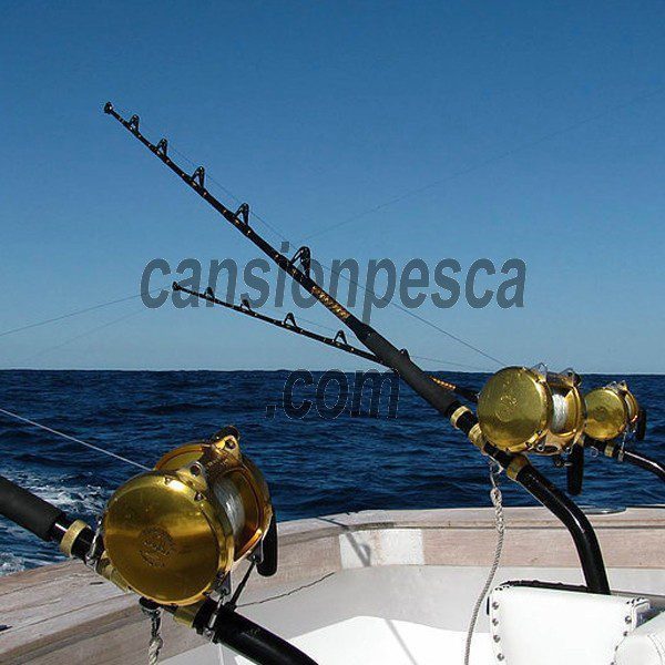 barco bertram 33 11m - fishing charter mallorca boat bertram 11m 02