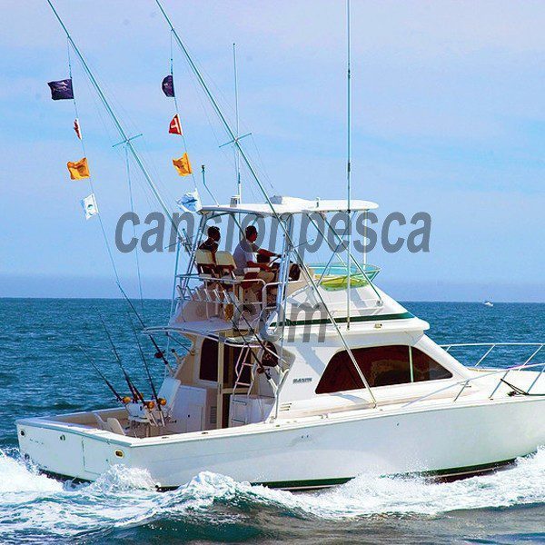 CHARTER DE PESCA - fishing charter mallorca boat bertram 11m