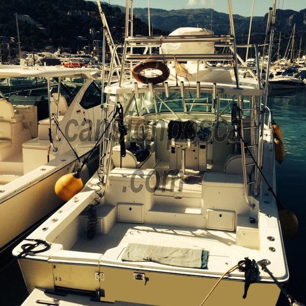 CHARTER DE PESCA - fishing charter mallorca boat luhrs 10m 01