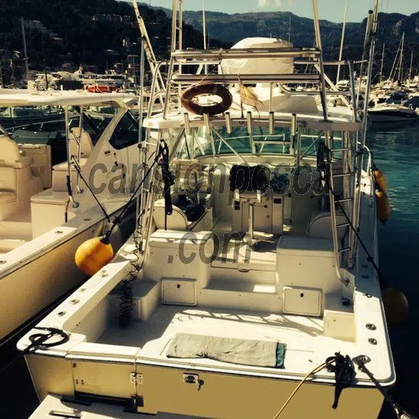 Alternative view of barco luhrs 10m
