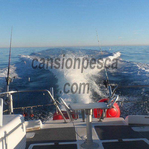 barco marea 40 offshore fisher 13.20m - fishing charter mallorca boat marea 40 offshore fisher 13 20m 01