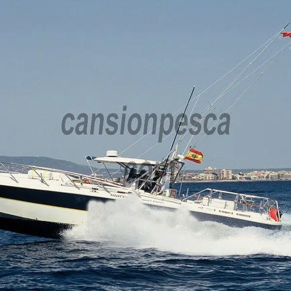 Alternative view of barco marea 40 offshore fisher 13.20m