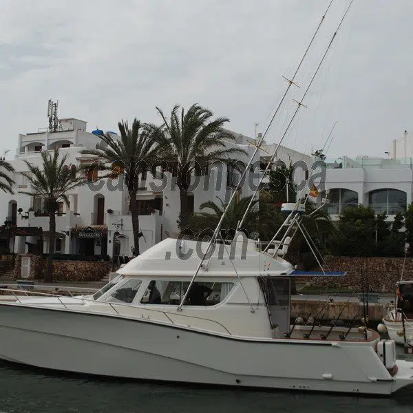 barco rodman 12.50m - Imagen 2