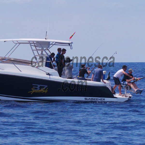 CHARTER DE PESCA - fishing charter mallorca boat sunseeker 37 sportfish 12.12m 02