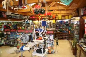 TIENDA PALMA - g 1