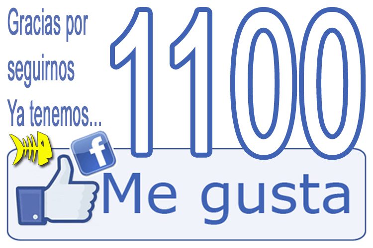 Gracias por seguirnos, ya tenemos 1100 me gusta en Facebook - gracias por seguirnos ya tenemos 1100 me gusta en facebook Gracias por seguirnos, ya tenemos 1100 me gusta en Facebook - gracias por seguirnos ya tenemos 1100 me gusta en facebook