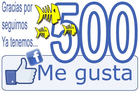 Gracias por seguirnos, ya tenemos 500 me gusta en facebook - gracias por seguirnos ya tenemos 500 me gusta en facebook gracias-por-seguirnos-ya-tenemos-500-me-gusta-en-facebook