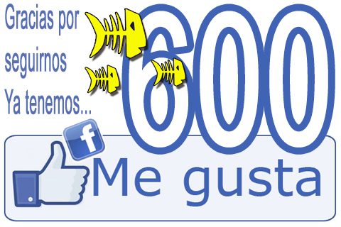 Gracias por seguirnos, ya tenemos 600 me gusta en facebook - gracias por seguirnos ya tenemos 600 me gusta en facebook gracias-por-seguirnos-ya-tenemos-600-me-gusta-en-facebook