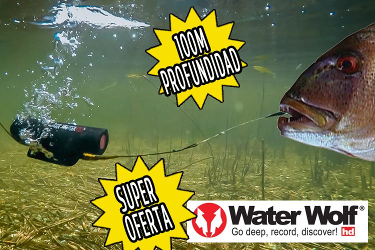 Hemos bajado el precio de nuestra cámara Water Wolf - hemos bajado el precio de nuestra camara water wolf