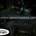 Jibionera Fishing Ferrari hunting squid jig - jibionera fishing ferrari hunting squid jig 01 Jibionera Fishing Ferrari hunting squid jig - jibionera fishing ferrari hunting squid jig 01