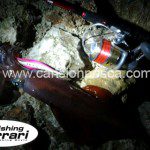 Jibionera Fishing Ferrari hunting squid jig - jibionera fishing ferrari hunting squid jig Jibionera Fishing Ferrari hunting squid jig - jibionera fishing ferrari hunting squid jig