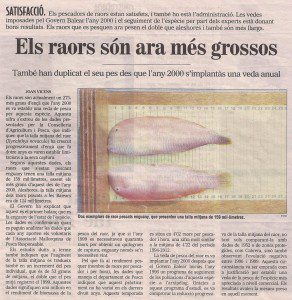 LOS RAONES SON AHORA MAS GRANDES - los raones son ahora mas grandes 01